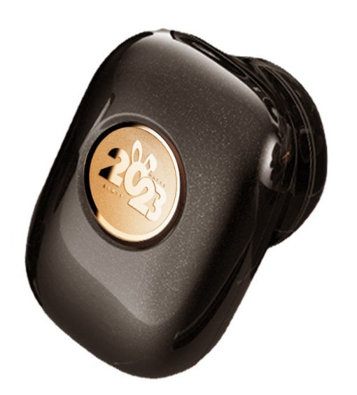 Pocket Electric Shaver